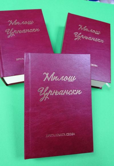 Miloš Crnjanski - Druga knjiga seoba